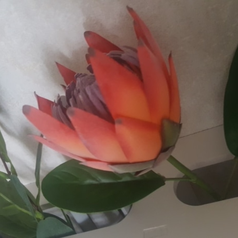 Artificial Flowers set of 2